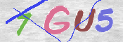 この文字を入力してください