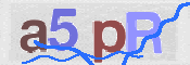 この文字を入力してください