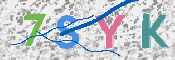 この文字を入力してください