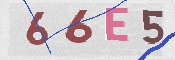 この文字を入力してください