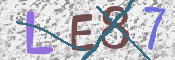 この文字を入力してください