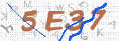 この文字を入力してください