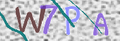 この文字を入力してください