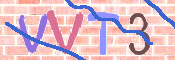 この文字を入力してください