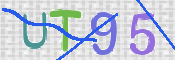 この文字を入力してください