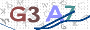 この文字を入力してください
