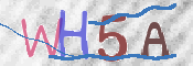 この文字を入力してください