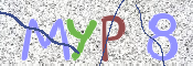 この文字を入力してください