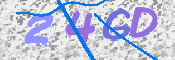 この文字を入力してください