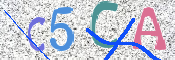この文字を入力してください