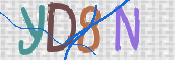 この文字を入力してください