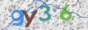 この文字を入力してください