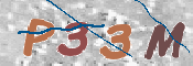 この文字を入力してください