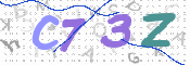 この文字を入力してください