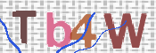 この文字を入力してください