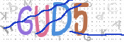 この文字を入力してください
