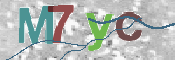 この文字を入力してください