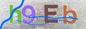 この文字を入力してください