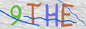 この文字を入力してください