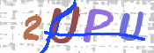 この文字を入力してください