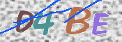 この文字を入力してください