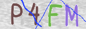 この文字を入力してください