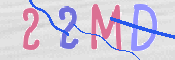 この文字を入力してください