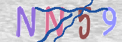 この文字を入力してください