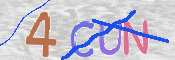 この文字を入力してください