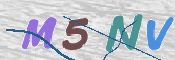 この文字を入力してください