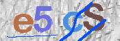 この文字を入力してください