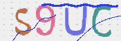 この文字を入力してください