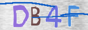 この文字を入力してください