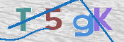 この文字を入力してください