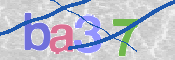 この文字を入力してください