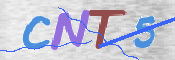 この文字を入力してください