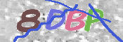 この文字を入力してください