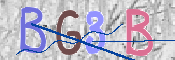 この文字を入力してください
