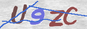 この文字を入力してください