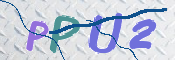 この文字を入力してください