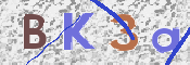 この文字を入力してください