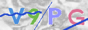 この文字を入力してください