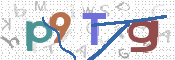 この文字を入力してください
