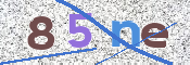 この文字を入力してください