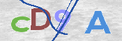 この文字を入力してください