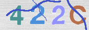 この文字を入力してください