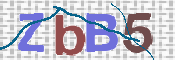 この文字を入力してください