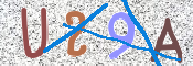 この文字を入力してください