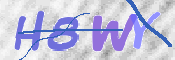この文字を入力してください