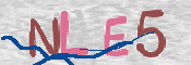 この文字を入力してください
